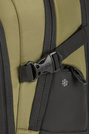 #color_olive-green-black