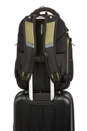 #color_olive-green-black