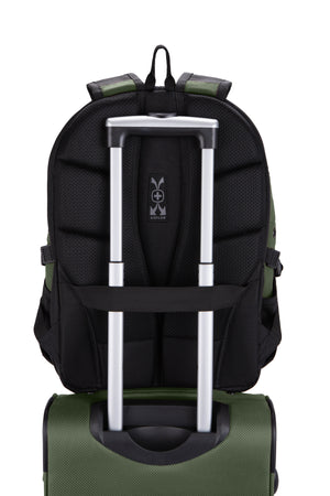 #color_evergreen-black