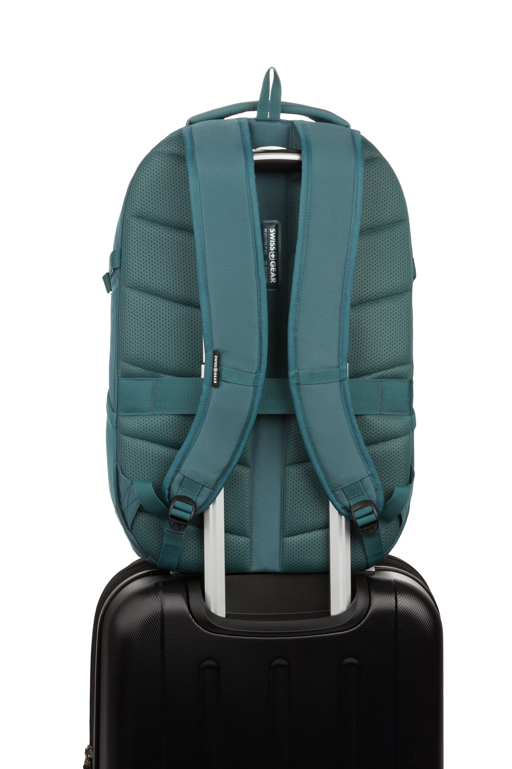 17.3 laptop backpack swissgear 8173 17 berkley Cheeky fly reels | and an additional zippered Color:Streak Shad