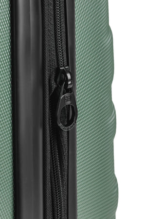 SWISSGEAR SWE46800 Carry On Spinner in Thyme Green